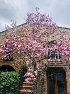 un albero con fiori rosa di fronte a un edificio di La Magnolia a Greve in Chianti
