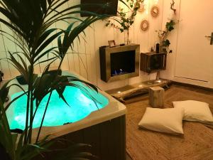 um quarto com uma banheira com uma televisão e uma planta em o5sens em Agde