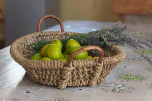 Toit villa aladel või selle läheduses