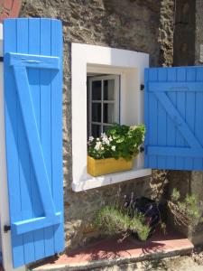 a blue door and a window with a flower box at Gîtes Rose des Sables in Surtainville