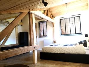 ein Schlafzimmer mit einem Bett und einem TV in einem Zimmer in der Unterkunft Cocon de caractère au cœur des vignes Alsaciennes in Bergheim