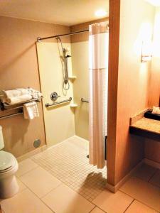 ein Bad mit einer Dusche und einem WC in der Unterkunft Comfort Suites Texarkana Arkansas in Texarkana