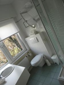 La petite salle de bains est pourvue de toilettes et d'un lavabo. dans l'établissement Hotel Bilderdijk, au Coq