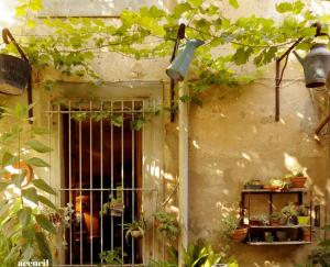 a building with a window with a metal gate at La Vigne Bleue in Olonzac