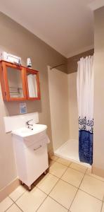 a bathroom with a sink and a shower at Mt Larcom Tourist Park in Mount Larcom