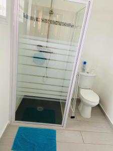 a bathroom with a shower and a toilet at Résidence VWAL O VAN 2, studio plage à proximité in Sainte-Anne