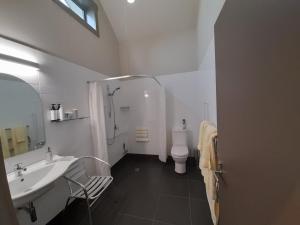 a bathroom with a sink and a shower and a toilet at Taranaki Country Lodge in New Plymouth
