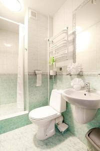ヤストシェンビャ・グラにあるDom Wczasowy VISのバスルーム(トイレ、洗面台、シャワー付)