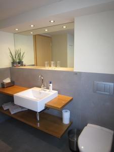 a bathroom with a sink and a toilet and a mirror at Chalet Aiiny in Grindelwald