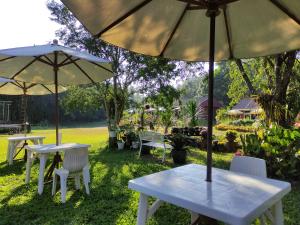 zwei Tische und Stühle mit Sonnenschirmen im Gras in der Unterkunft Pruksatara Garden in Phu Rua