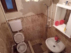 Ljubovija的住宿－Apartman "Kapetana luka"，一间带卫生间和水槽的小浴室