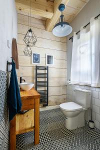 a bathroom with a toilet and a sink at Gata Blanca in Wetlina