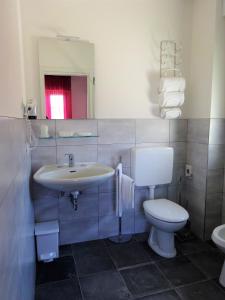 a bathroom with a sink and a toilet and a mirror at Hotel Lem-Casadei in Cervia