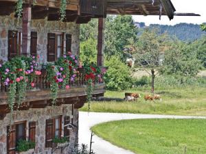 Zahrada ubytování Baumgartner Nagerhof | Chiemgau Karte