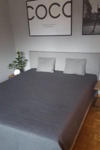 デュッセルドルフにあるStylisch-gemütliche 70qm im zentralen D-Derendorfのベッドルーム1室(大型ベッド1台、枕2つ付)