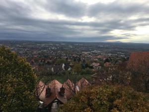 - une vue sur une ville avec des maisons et des arbres dans l'établissement Bagolyvár Panzió, à Pécs