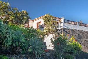 una casa con una pared de piedra y plantas en Maximina, en Fuencaliente de la Palma