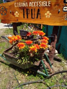 Ein paar Blumen in einem Blumentopf auf einem Tisch in der Unterkunft Cabaña Accesible Ipua in Lago Puelo