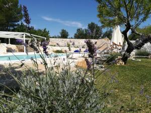 a garden with a swimming pool and an umbrella at Dimora Il Mandorlo in Ostuni