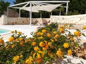 a bunch of yellow flowers next to a pool at Dimora Il Mandorlo in Ostuni