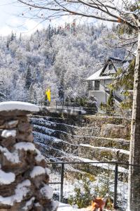 Foto dalla galleria di Piscul Negru Hotel - Transfagarasan a Cumpăna Altre 27 foto