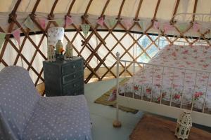 Gallery image of Mill Haven Place glamping-yurt 2 in Haverfordwest