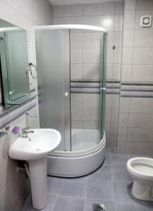 a bathroom with a shower and a sink and a toilet at Apartman Frida in Nikšić