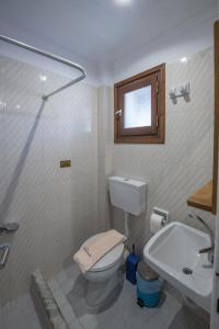 a bathroom with a toilet and a sink and a shower at Villa Spyridoula studios on the Beach in Sidari