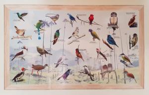 Ảnh trong thư viện ảnh của Hostal Mochileros Inn ở Circasia +10 ảnh