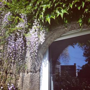 Kebun di luar Walnut Tree Gite Brittany