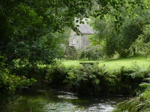 una antigua casa de campo de piedra junto a un arroyo en Jopes Mill and Lodge, en Looe