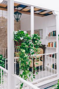 a plant on the balcony of a house at Alcázar de María in Seville +42 photos