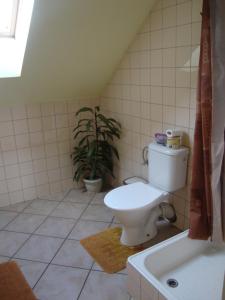 a bathroom with a toilet and a plant in it at Petrovický mlýn in Kasanice