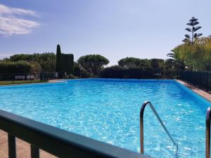 尼斯的住宿－Classy Apartment in Nice with pool and private parking place，一个带围栏的大型蓝色游泳池