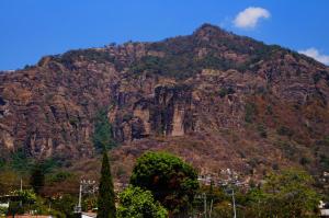 Imagen de la galería de Hospedaje La Hoja, en Tepoztlán