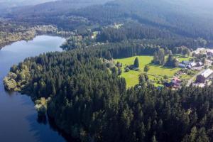 Příroda nedaleko apartmánu + 7 fotografií