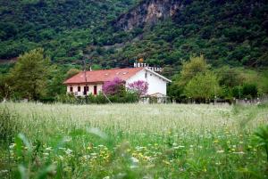 una casa en medio de un campo de hierba en Hotel Faraggi, en Kleidoniá