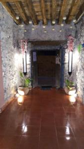 a room with two potted plants and a stone wall at Hotel Hacienda Encantada in Real de Catorce