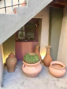 a group of vases sitting next to a wall at Hotel Hacienda Encantada in Real de Catorce