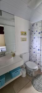 ein Badezimmer mit einem WC, einem Waschbecken und einem Spiegel in der Unterkunft Casa De Madeira in Bombinhas