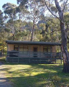 a house in the woods with a tree at Cockatoo Cabin in Halls Gap