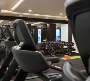 Fitnesscentret og/eller fitnessfaciliteterne på The Connaught, New Delhi- IHCL SeleQtions