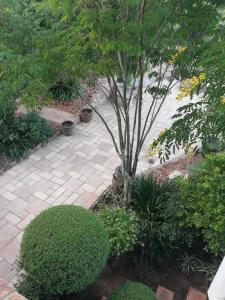un giardino con un albero e un patio in mattoni di Leeuwenhof Guesthouse a Caledon