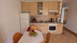 Kuchyň nebo kuchyňský kout v ubytování Apartment Grahovac 4