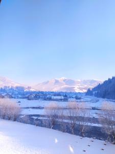 a snowy field with trees and mountains in the background at Котедж Shalet in Kolochava