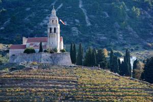 a church on a hill next to a vineyard at Charming Apartment in Zadar, Sea View in Zadar