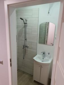 a bathroom with a shower and a sink and a mirror at Jasna Hostelik in Warsaw