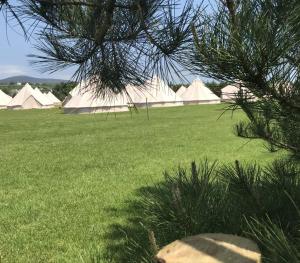 a field of green grass with white tents in the background at 4Ever TT Glamping in Colby
