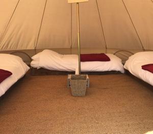 a tent with two beds and a lamp in it at 4Ever TT Glamping in Colby