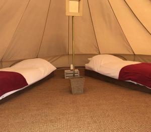 uma tenda com duas camas e um candeeiro em 4Ever TT Glamping em Colby